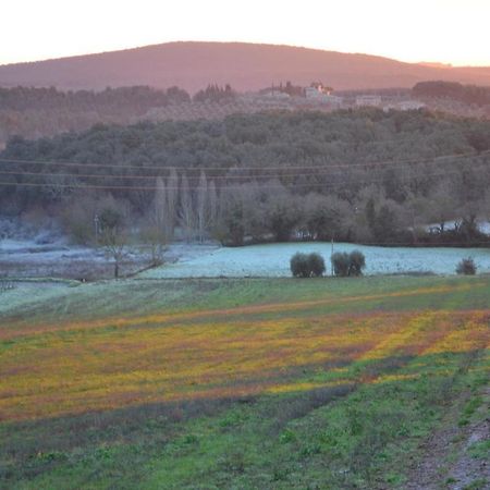Podere Ficareto Farm Ancaiano Luaran gambar